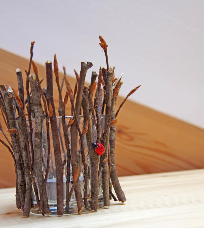 Le Castagne Matte Bed & Breakfast Stenico ภายนอก รูปภาพ